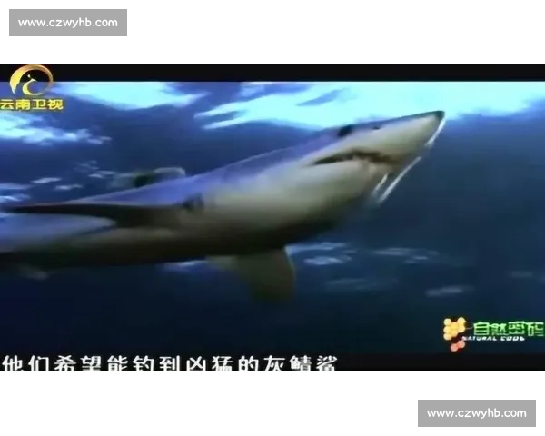 保级圈缩水！深汉近岸，海牛续命，梅亚悬了