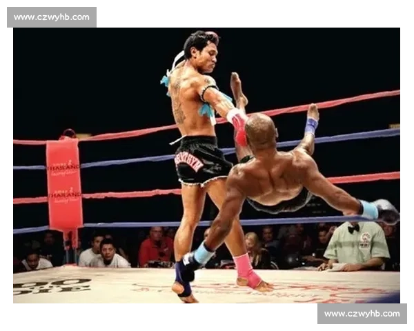 散打对决泰拳实战体系技术风格与擂台胜负深度解析规则对比发展前景